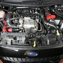 Armaspeed Carbon Fiber Air Intake for Ford Fiesta 1.0T / 1.6 ST-3