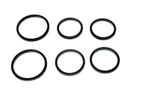 AP Racing 9660/9668 Radi-CAL Pro5000R Caliper Seal Kit