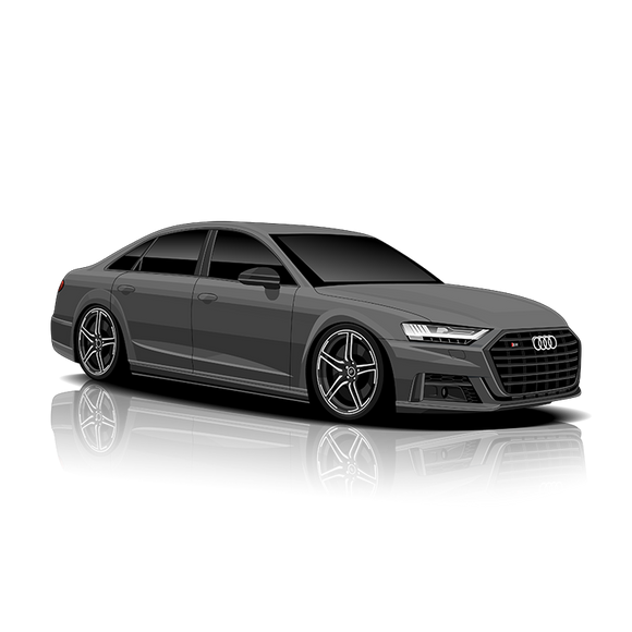 11MODE 'Plug & Play' Exhaust Controller for Audi S8 (D5)