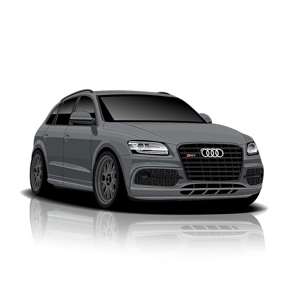 11MODE 'Plug & Play' Exhaust Controller for Audi SQ5 (8R)