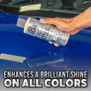 Chemical Guys  Jet Seal Sealant & Paint Protectant - MODE Auto Concepts