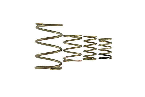 Turbosmart  GenV WG38/40 Spring Replacement Kit