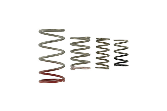 Turbosmart  GenV IWG Spring Replacement Kit