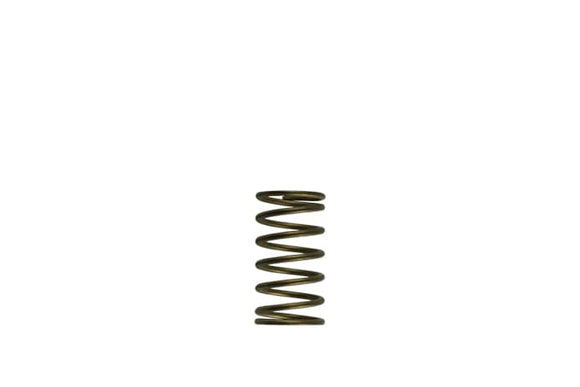 Turbosmart  GenV Spring (3psi) Inner () Suit WG60