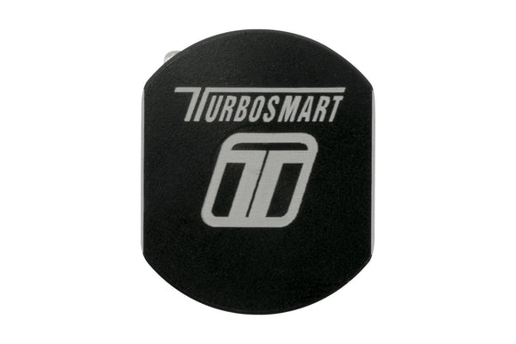 Turbosmart  Modular Combo Block (4 Port & 2 Channel) 1/8NPT