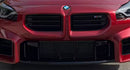 Exon Gloss Black Lower Grille Mesh Guard for BMW M2 G87-2